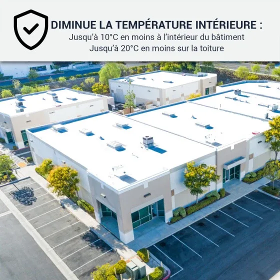 Peinture thermique Technichem : La solution 3-en-1 pour isoler et rénover votre toiture à Lille